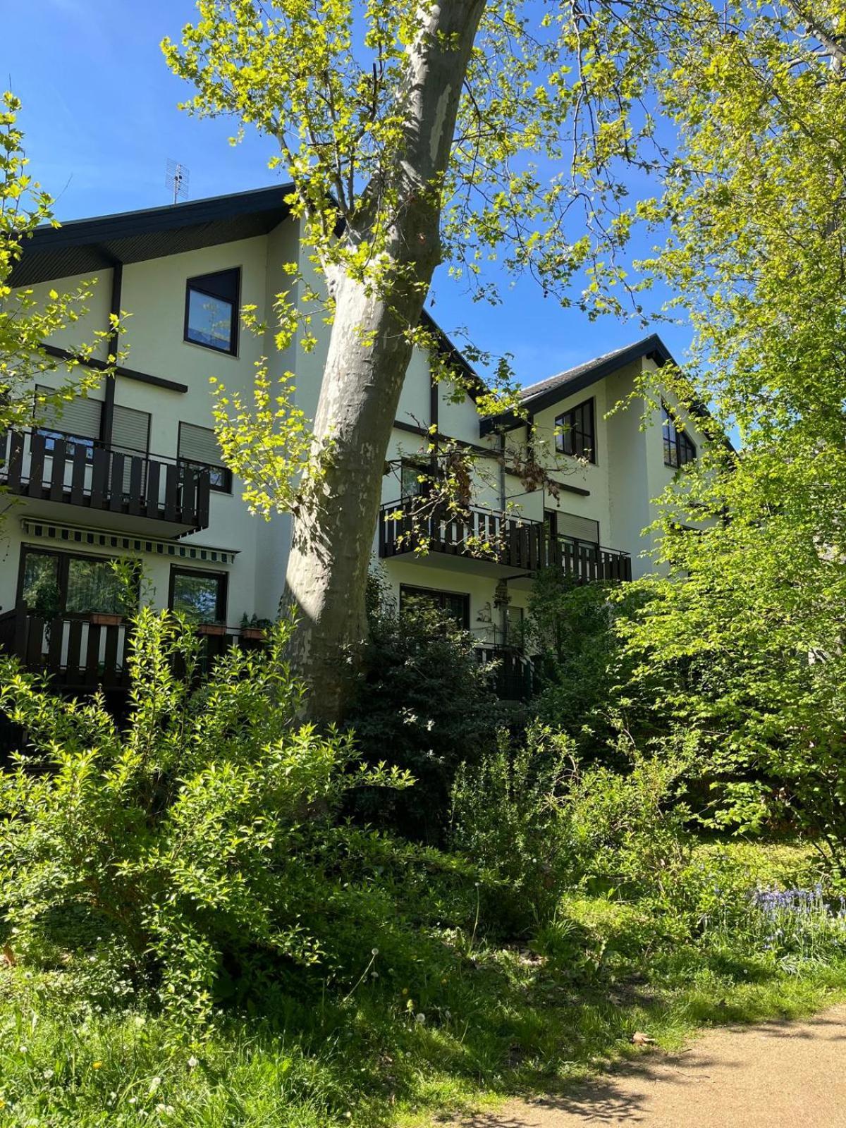 Zentrale Ferienwohnung Am Buhlschen Park In ダイデスハイム エクステリア 写真